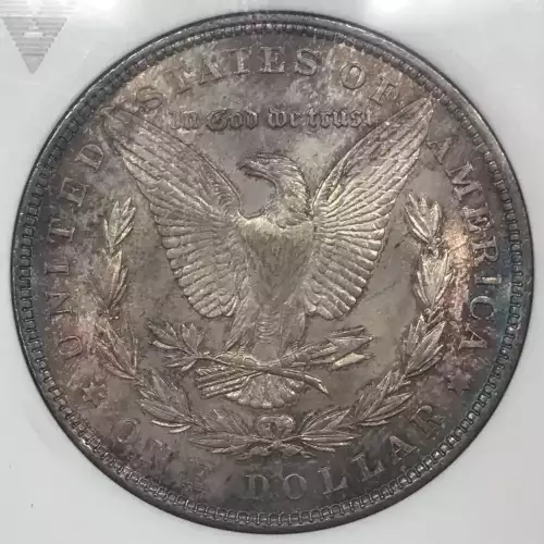 Morgan Silver Dollar (2)