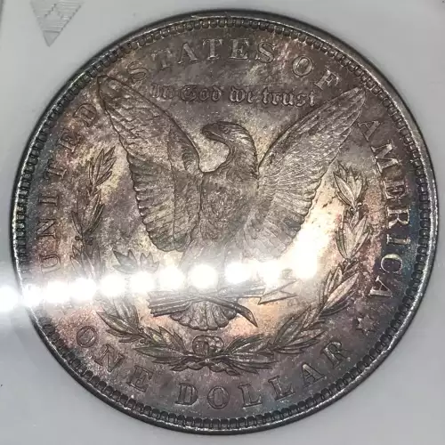 Morgan Silver Dollar (5)