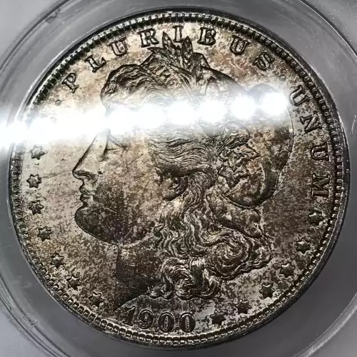 Morgan Silver Dollar (5)