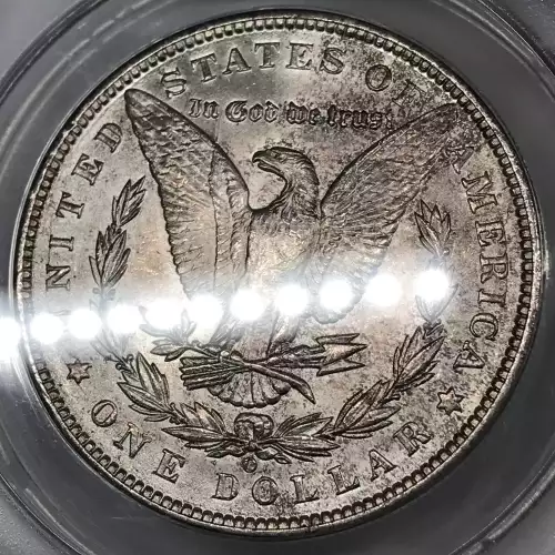 Morgan Silver Dollar (2)