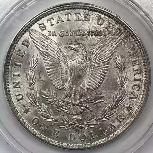 Morgan Silver Dollar (4)