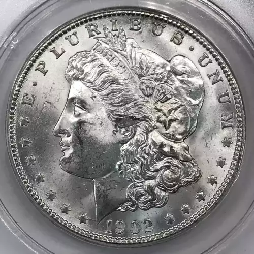 Morgan Silver Dollar (2)