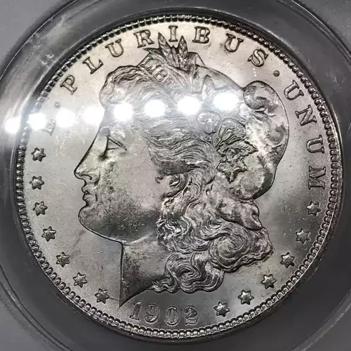 Morgan Silver Dollar (4)