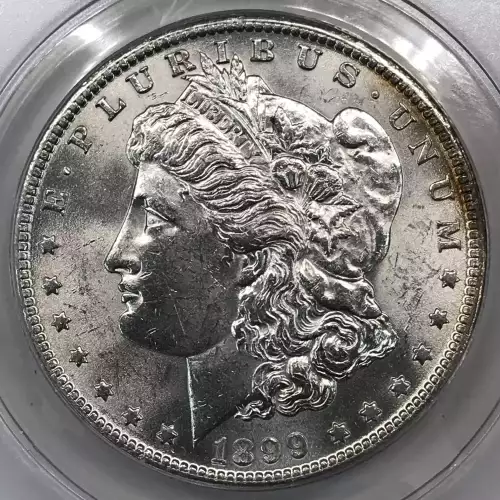 Morgan Silver Dollar (2)