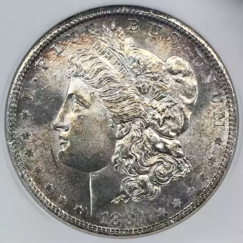 Morgan Silver Dollar (2)