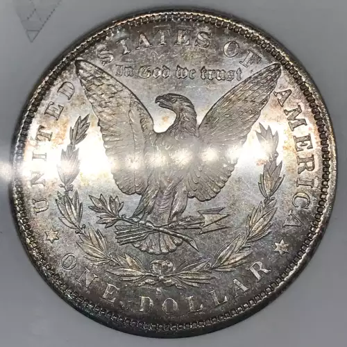 Morgan Silver Dollar (5)
