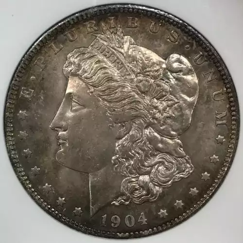 Morgan Silver Dollar
