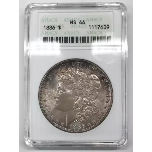 Morgan Silver Dollar