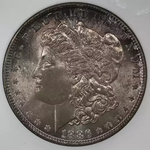 Morgan Silver Dollar (2)