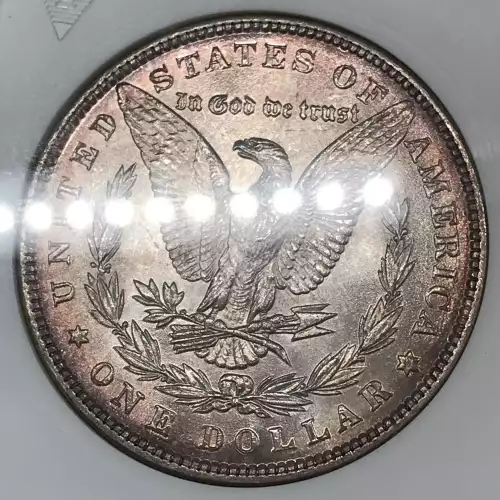 Morgan Silver Dollar (5)