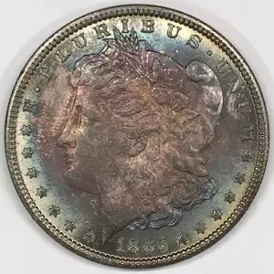 Morgan Silver Dollar (2)