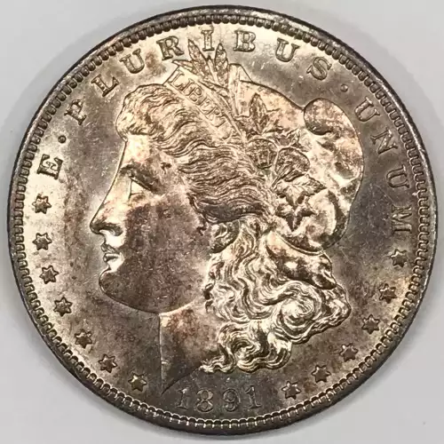 Morgan Silver Dollar (4)