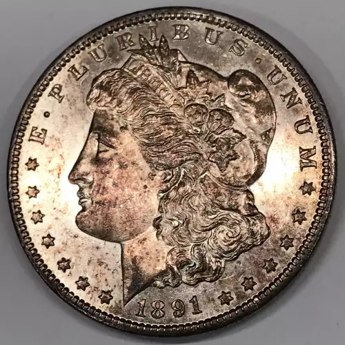Morgan Silver Dollar (2)