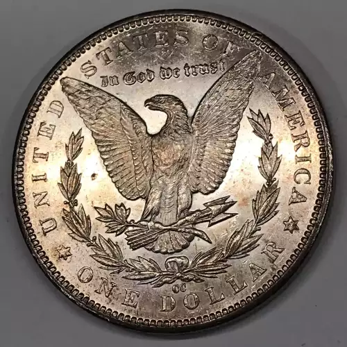 Morgan Silver Dollar