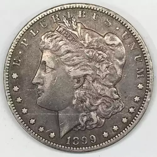 Morgan Silver Dollar (2)