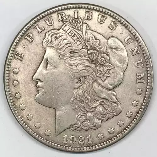 Morgan Silver Dollar (2)