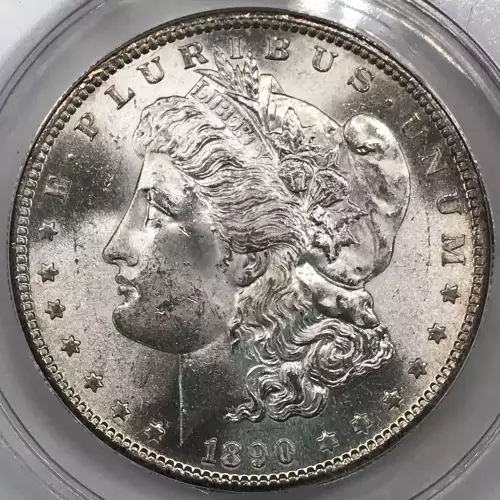 Morgan Silver Dollar (2)