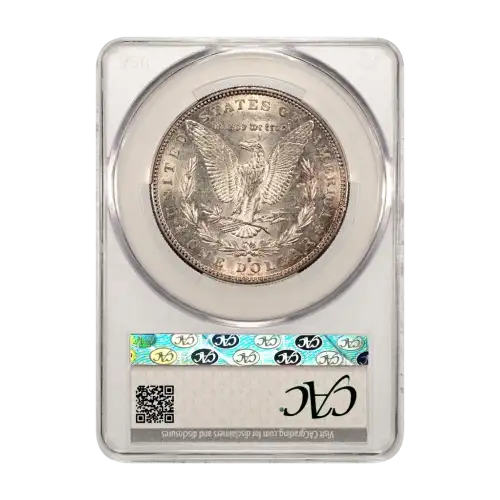 Morgan Silver Dollar (2)