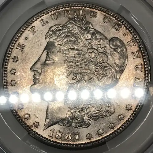 Morgan Silver Dollar (4)