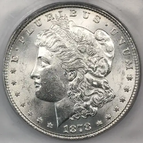 Morgan Silver Dollar (2)
