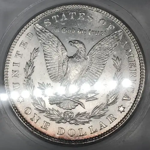 Morgan Silver Dollar (5)
