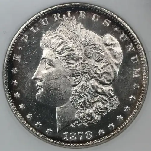 Morgan Silver Dollar (2)