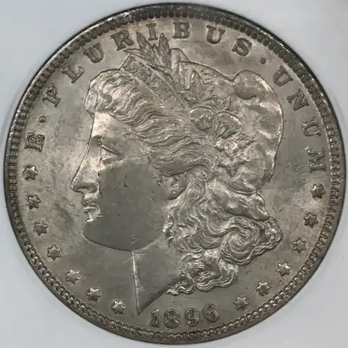 Morgan Silver Dollar (4)