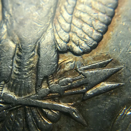 Morgan Silver Dollar (2)