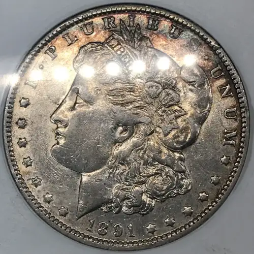 Morgan Silver Dollar (5)