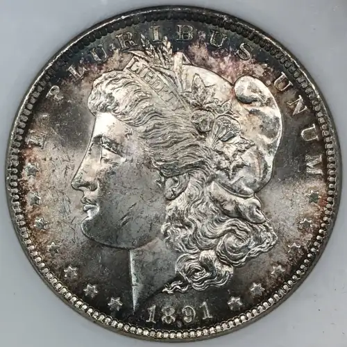 Morgan Silver Dollar (4)