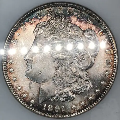 Morgan Silver Dollar (5)