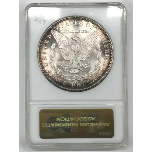 Morgan Silver Dollar (5)