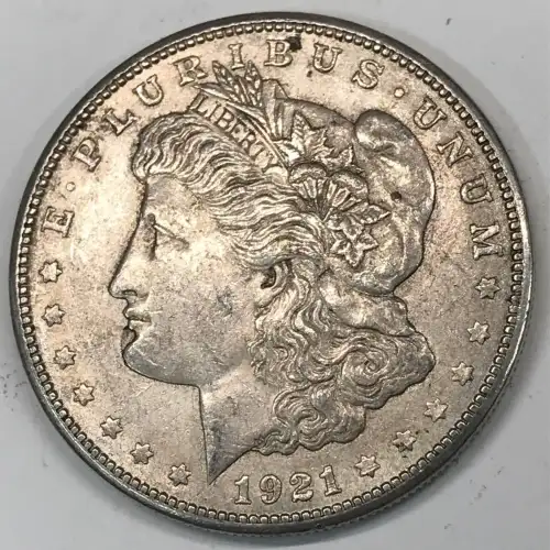 Morgan Silver Dollar (4)