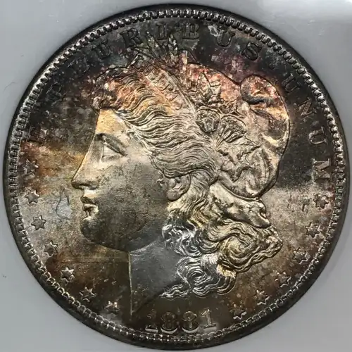 Morgan Silver Dollar (4)