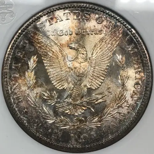 Morgan Silver Dollar (5)