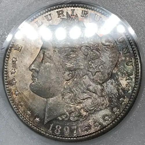 Morgan Silver Dollar (4)