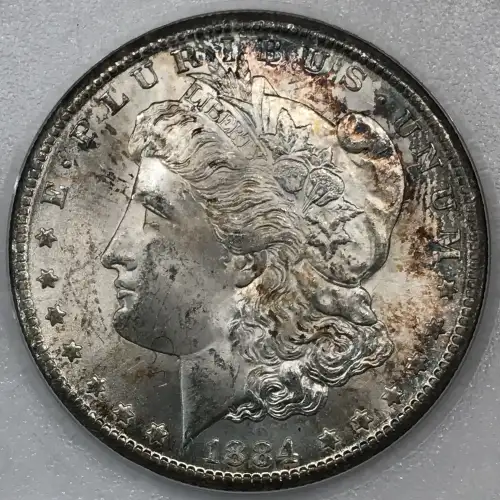 Morgan Silver Dollar (4)