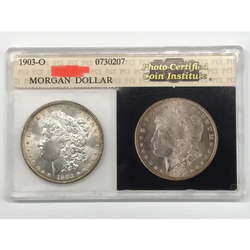 Morgan Silver Dollar (2)