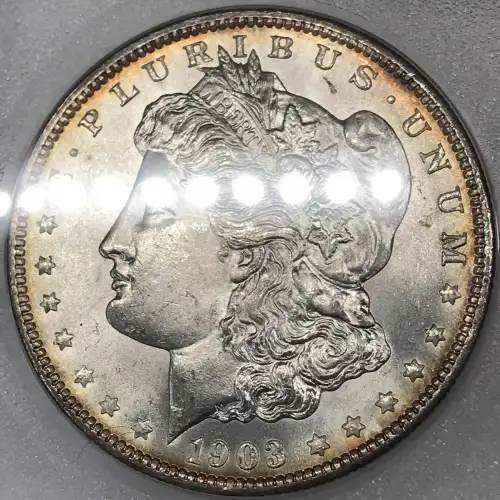 Morgan Silver Dollar