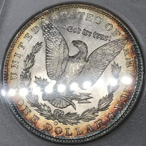 Morgan Silver Dollar (5)