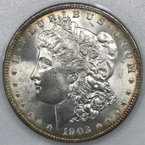 Morgan Silver Dollar (5)