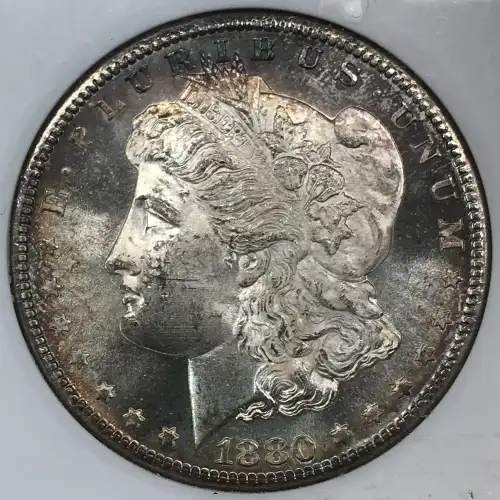 Morgan Silver Dollar (2)
