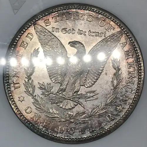 Morgan Silver Dollar (5)