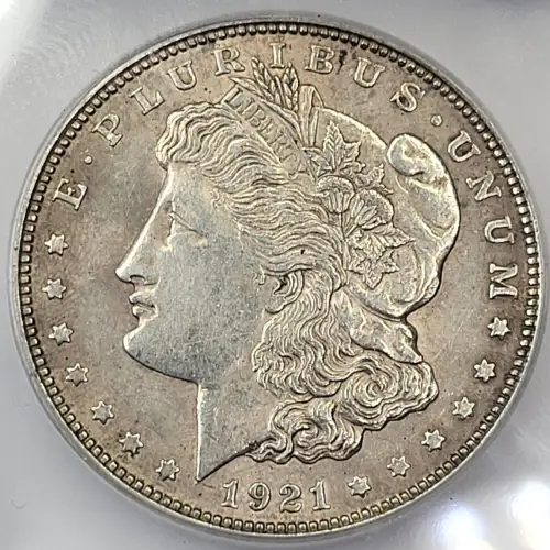 Morgan Silver Dollar (2)