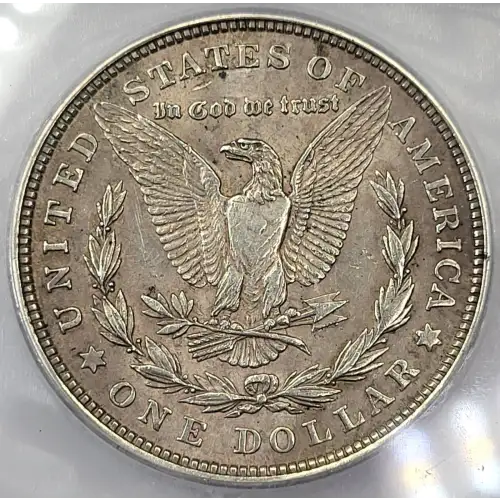 Morgan Silver Dollar (4)