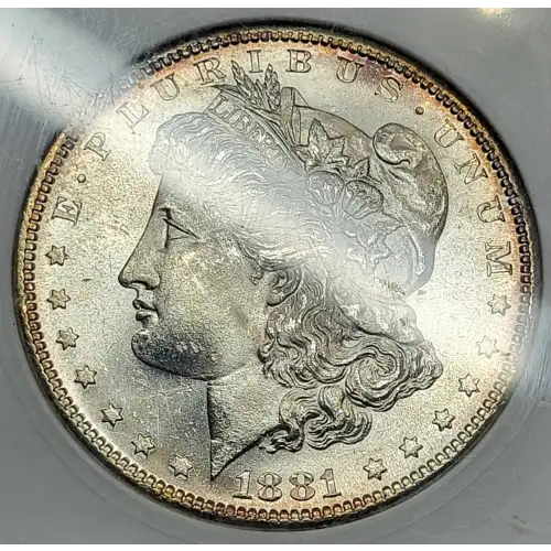 Morgan Silver Dollar (2)