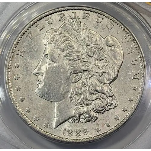 Morgan Silver Dollar (2)