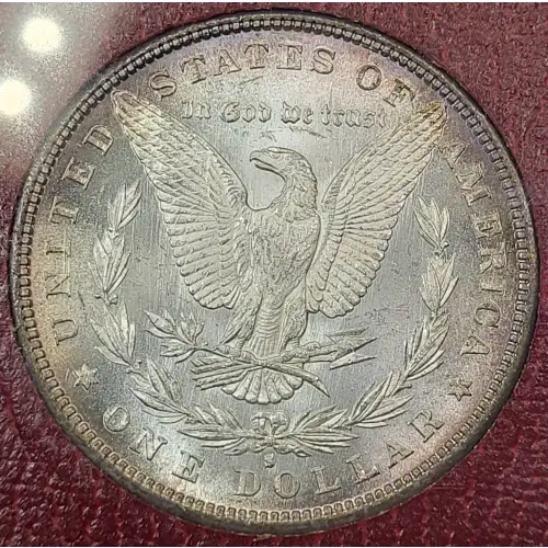 Morgan Silver Dollar (4)