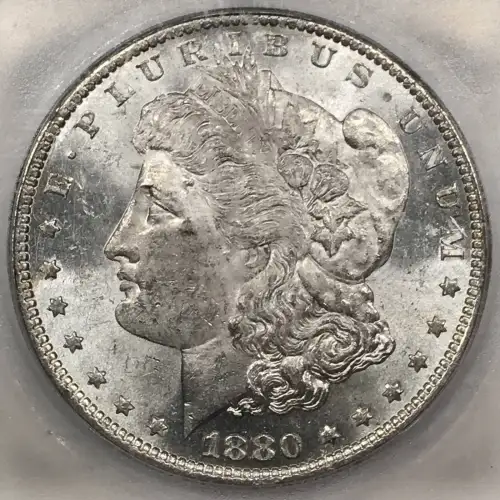 Morgan Silver Dollar (2)