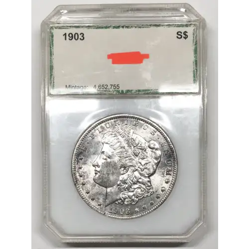 Morgan Silver Dollar